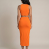 Ella Dress back view